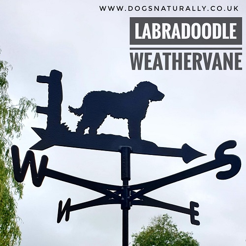 Labradoodle Weather Vane